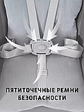 Трансформер Rant Basic Mango Pro RH800 Graphite, фото 3