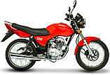 Мотоцикл M1NSK D4 125, фото 2