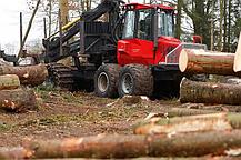 Шина для форвардера BKT Forestech 710/45-26.5 20PR 175A2/168A8 TL, фото 3