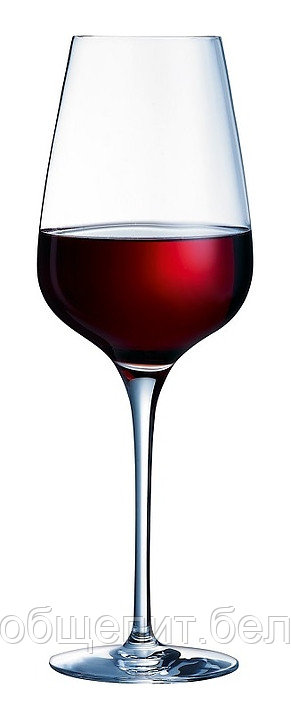 Бокал для вина Chef&Sommelier Sublym 450 мл