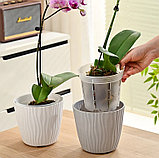 Горшок для орхидей Botanica с боковыми прорезями (16x12.7см/1.7л, прозрачный), фото 6