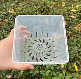 Горшок дренажный BotanicaA Clear квадратный (12.5см, прозрачный), фото 2