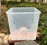 Горшок дренажный BotanicaA Clear квадратный (12.5см, прозрачный), фото 3