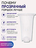 Горшок для орхидей Botanica высокий (18x23см/2.4л, прозрачный), фото 4