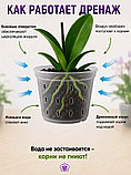 Горшок для орхидей Botanica Drop (11x8см/0.4л, прозрачный), фото 3