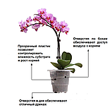 Горшок для орхидей Botanica Meshpot (18x15.5см/1.9л, прозрачный), фото 4