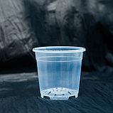 Горшок дренажный Botanica Clear (7.6x7см/0.25л, прозрачный), фото 2