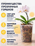 Горшок для орхидей и фиалок Botanica (9x9x12.5см/0.59л, прозрачный матовый), фото 3