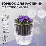Кашпо Botanica автополив Fresh (9х9см, прозрачный), фото 2