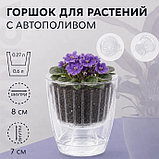 Кашпо Botanica автополив Fresh (11х10.5см, прозрачный), фото 2