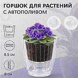 Кашпо Botanica автополив Fresh (12х12см, прозрачный), фото 2