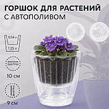 Кашпо Botanica автополив Fresh (13х14см, прозрачный), фото 2