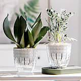 Кашпо Botanica автополив Diamond (11х11cм, прозрачный), фото 9