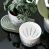 Кашпо Botanica автополив Diamond (16х15см, прозрачный), фото 5