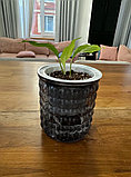 Кашпо Botanica автополив Babble (10.5x11.5см, серый), фото 7