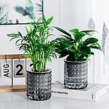 Кашпо Botanica автополив Babble (10.5x11.5см, серый), фото 9