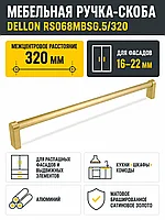 Мебельная ручка DELLON RS068MBSG.5/320