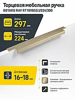 Мебельная ручка RAY RT109BSG.1/224/300