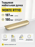 Мебельная ручка MONTE RT110BSG.1/160/200