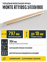 Мебельная ручка MONTE RT110SG.1/000/800