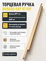 Мебельная ручка RAY RT109SG.1/000/700