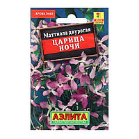 Маттиола Царица ночи Лидер Аэлита