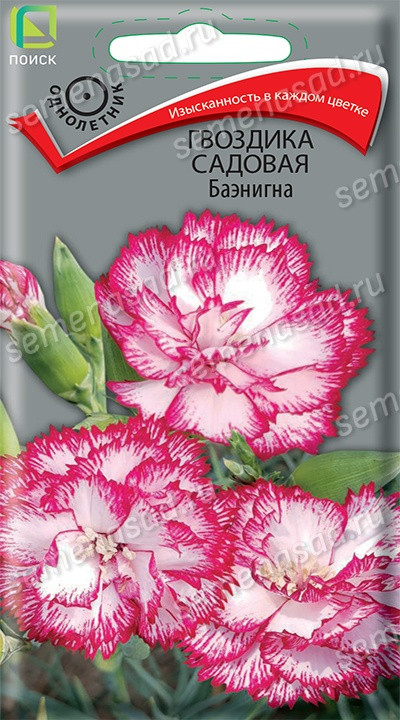 Гвоздика садовая Баэнигна 0,1г Поиск