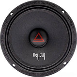 Широкополосная АС Aura Venom-65, фото 3