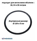Прокладка 2 шт. для автоклава Новогаз Н3.58.00.06, фото 3