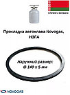 Прокладка 2 шт. для автоклава Новогаз Н3.58.00.06, фото 4
