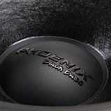 Головка сабвуфера DL Audio Phoenix Black Bass 18, фото 5