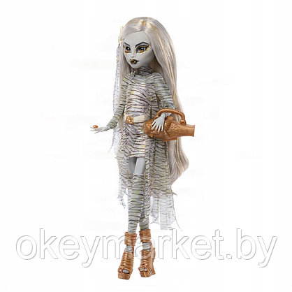 Кукла Mattel Monster High The Mummy Мумия JKM51, фото 2