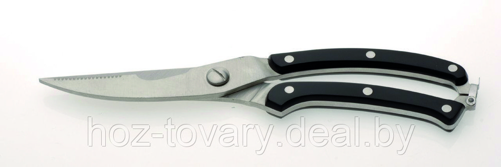 Ножницы для разделки птицы Cook&Co Berghoff арт. 2800409 - фото 1 - id-p48032979