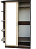 Шкаф-купе для прихожей СШ 10.03.01 -двухдверный с угловой консолью 1,6м*2,2м*0,45м, фото 2