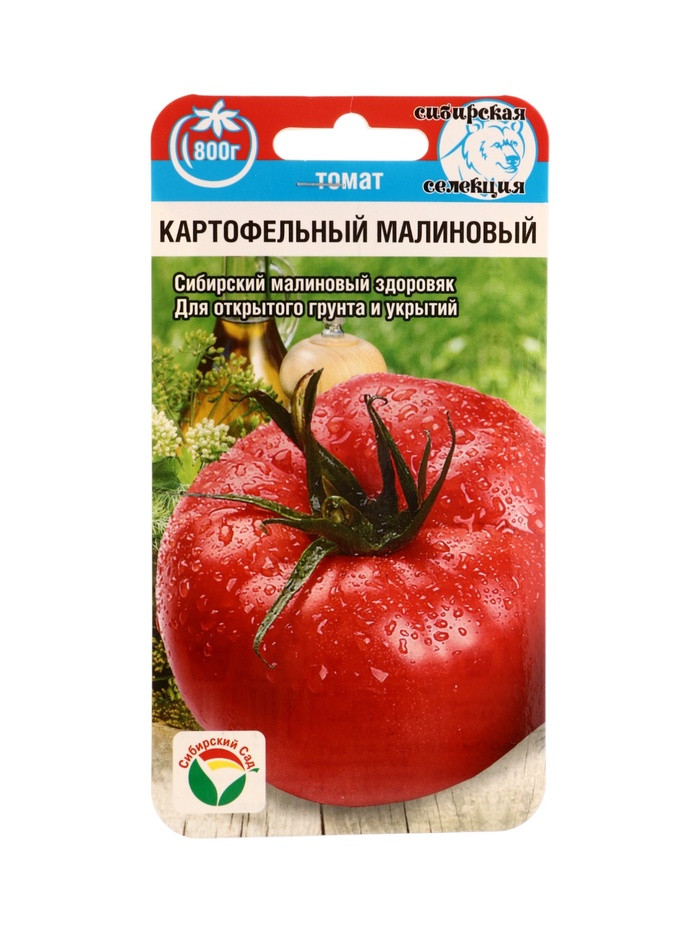 Томат Картофельный малиновый 20шт Сибирский Сад