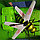 Радиоуправляемая оса пчела на радиоуправлении superbee, фото 5