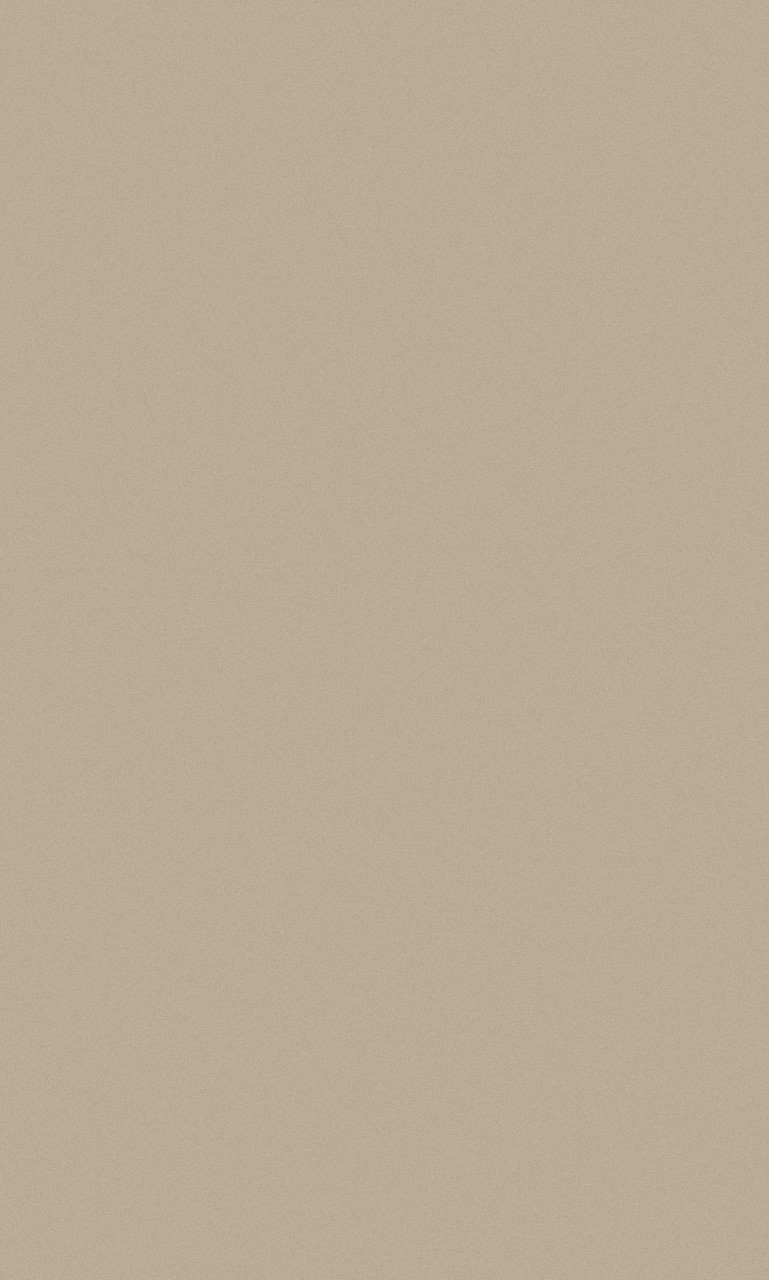 Ковер MERINOS P000 - BEIGE