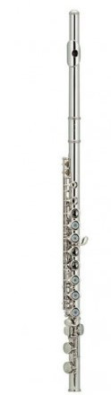 Флейта Pierre Cesar JBFL-5148S