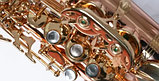 Саксофон сопрано Pierre Cesar PC-SSC-1010L, фото 3