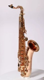 Тенор-саксофон Pierre Cesar JBTS-1010L