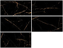 Керамогранит Netto Plus Markinia Gold high glossy 60*120, фото 6