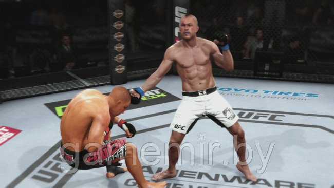 UFC 2 - фото 2 - id-p37436090