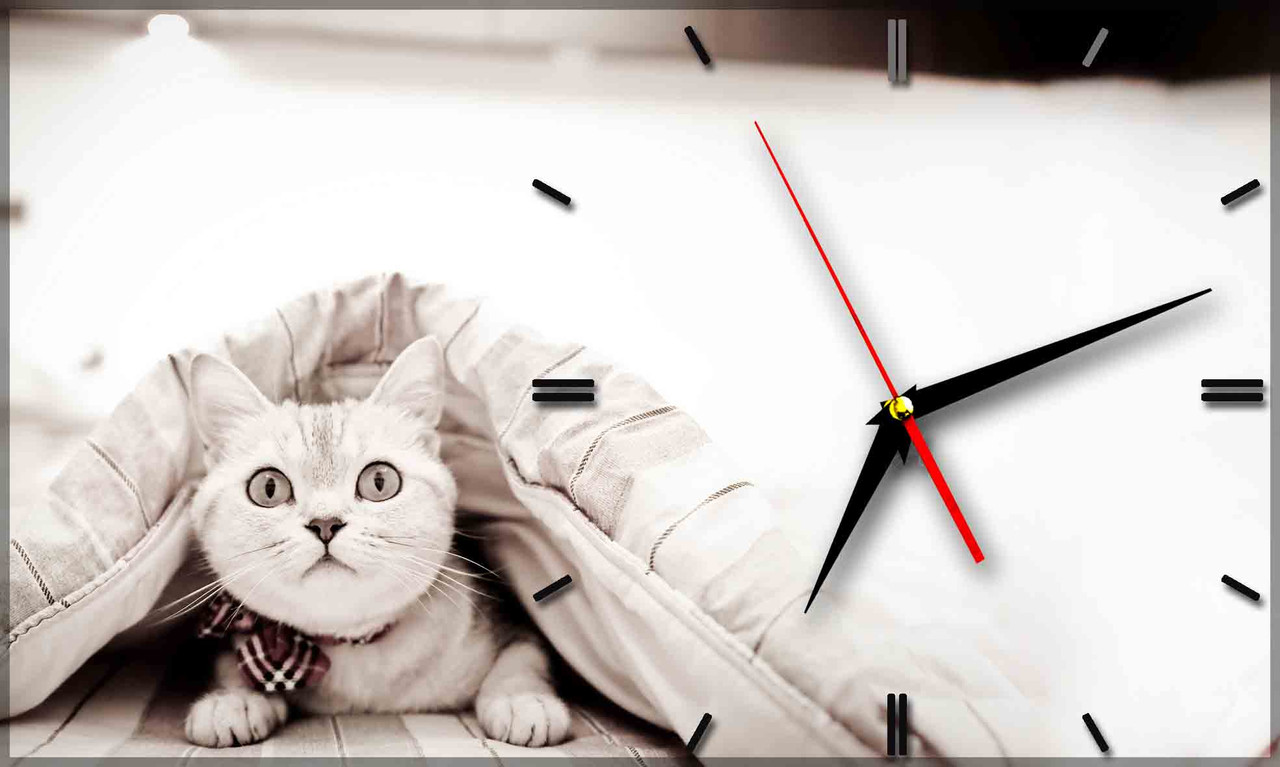 Настенные часы из стекла "Белый кот" арт.124