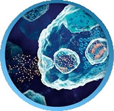 Очищение кожи на клеточном уровне