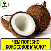 Для чего используют кокосовое масло? Почему оно так популярно?