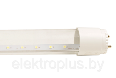 Лампы светодиодные СД LED-T8R-ECO 10ВТ G13 600ММ - фото 1 - id-p39878319