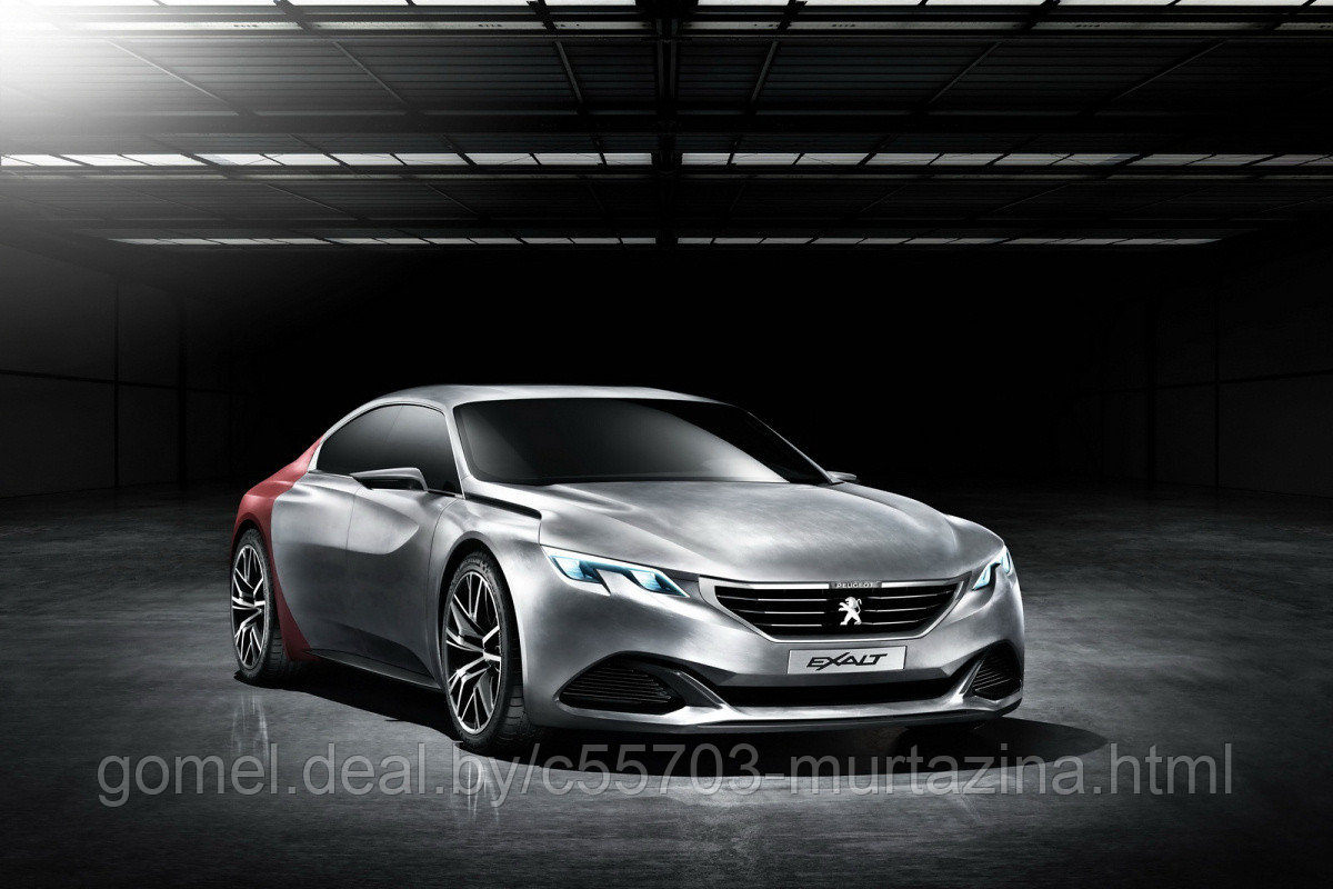 Компьютерная диагностика Peugeot - фото 1 - id-p40086953