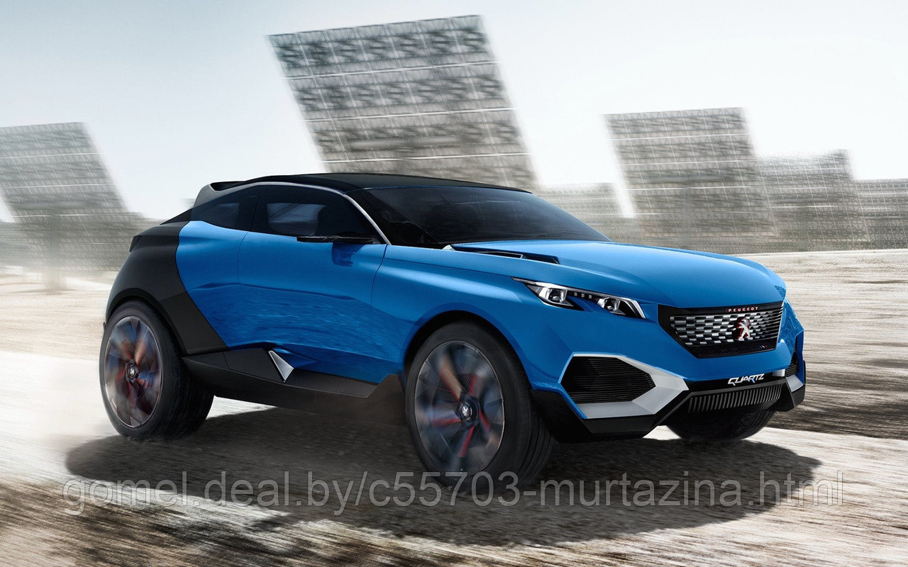 Компьютерная диагностика Peugeot - фото 2 - id-p40086953