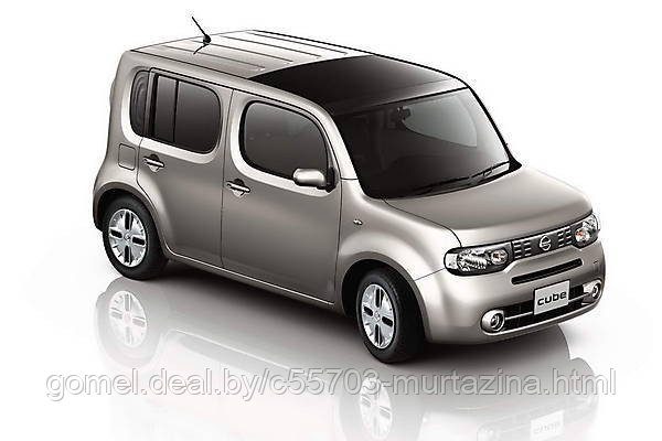 Компьютерная диагностика Nissan Cube - фото 2 - id-p40143843