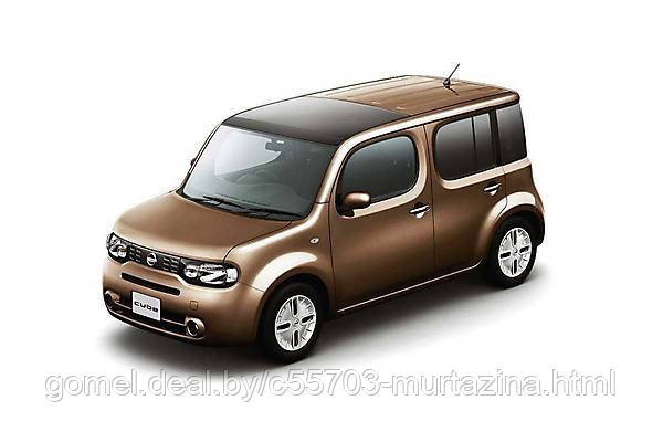 Компьютерная диагностика Nissan Cube - фото 3 - id-p40143843